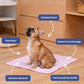 🐶 Mata chłodząca dla zwierząt – 50% ZNIŻKI! OFERTA LIMITOWANA! Samochłodząca, zapobiega przegrzaniu, zapewnia komfort przez wiele godzin – idealna dla psów i kotów w upalne dni.❄️🌿🐱✨