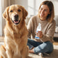 🐕 50% OFF + KUP 1→1, 2→3, 3→5 GRATIS – OSTATNI DZIEŃ! Pianka do zębów dla psów i kotów – usuwa kamień i płytkę bez szczotkowania. Zdrowsze zęby, świeższy oddech Twojego pupila! 🦷💨