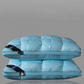 🛏️ Poduszka ergonomiczna pod szyję – 50% ZNIŻKI! OFERTA LIMITOWANA!💺✨Oddychająca, miękka i można ją prać – Trójwymiarowe szwy zapewniają wsparcie i komfort, redukując napięcie szyi. Lekka, poręczna i zawsze świeża! 🌙