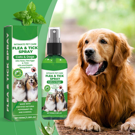 🐾 Naturalny spray przeciw pchłom i kleszczom – 50% ZNIŻKI! OFERTA LIMITOWANA!Chroń swojego pupila bez chemii! 🍃🐶🐱✨