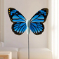 🦋 Elektryczna zabawka dla kota – 50% ZNIŻKI! OFERTA LIMITOWANA!✨ Z przyssawką i obracającym się motylem – zajmuje kota na godziny, stymuluje instynkty. Łatwy montaż, bez baterii? Sprawdź! 🐱