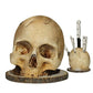 💀 Uchwyt na noże w kształcie czaszki – 50% ZNIŻKI! KUP 2 I OSZCZĘDŹ 50 ZŁ! OFERTA LIMITOWANA!🗡️ Solidny, stabilny i niepowtarzalny – wykonany z żywicy, pasuje do wszystkich noży.🔥