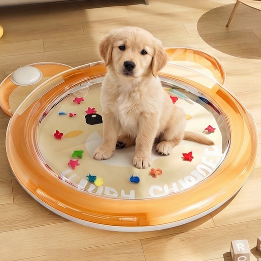 💦 Chłodząca mata wodna dla zwierząt – 50% ZNIŻKI! OFERTA LIMITOWANA!🐶🐱 Duża, gruba i odporna na drapanie – nadmuchiwana z możliwością napełniania wodą. Twój pies lub kot ją pokocha! ❄️✨