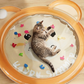💦 Chłodząca mata wodna dla zwierząt – 50% ZNIŻKI! OFERTA LIMITOWANA!🐶🐱 Duża, gruba i odporna na drapanie – nadmuchiwana z możliwością napełniania wodą. Twój pies lub kot ją pokocha! ❄️✨