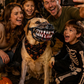 🎃 Halloweenowy kaganiec dla psa – 50% ZNIŻKI! OFERTA LIMITOWANA! Śmieszna maska potwora, idealna na Halloween, imprezy i zdjęcia. Wygodna, lekka i bezpieczna dla zwierząt. Sprawi, że Twój pies będzie gwiazdą każdej imprezy! 🐶👻✨